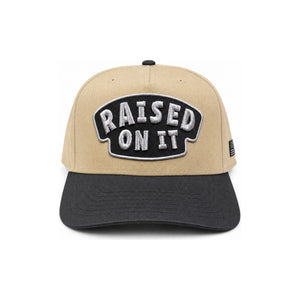 Raised On It | America 250 | Embroidered Logo Hat